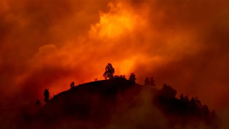 Perú bate récords 8000 incendios forestales últimos 5 años