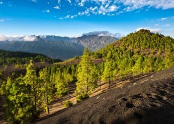 Transición Ecológica subvencionará parte 15 proyectos energía solar fotovoltaica La Palma