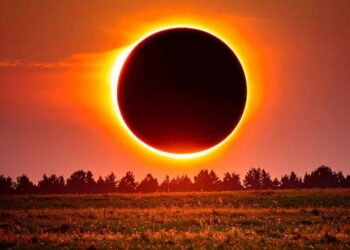 eclipse solar donde día transforma noche muchos pájaros se comportan como amaneciera