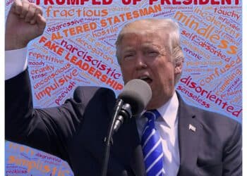 Agencia Internacional de la Energía AIE reduce expectativas renovables mundo políticas Donald Trump