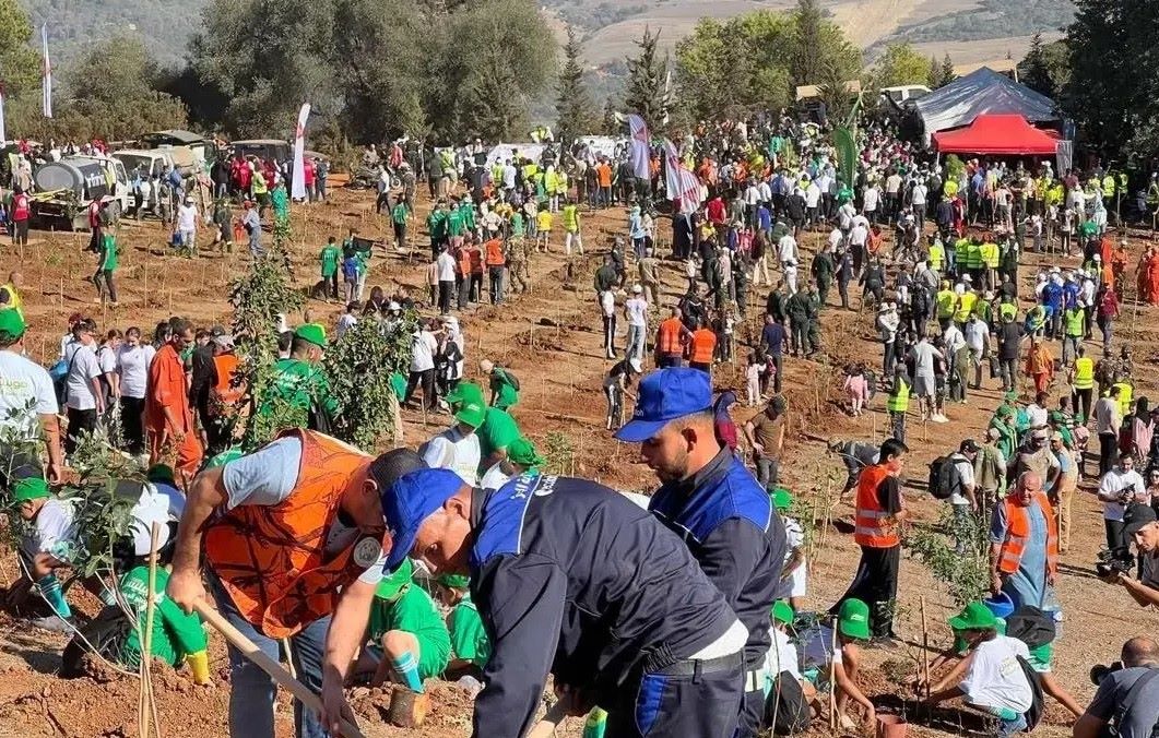 Argelia planta un millón árboles un solo día contra desertificación país