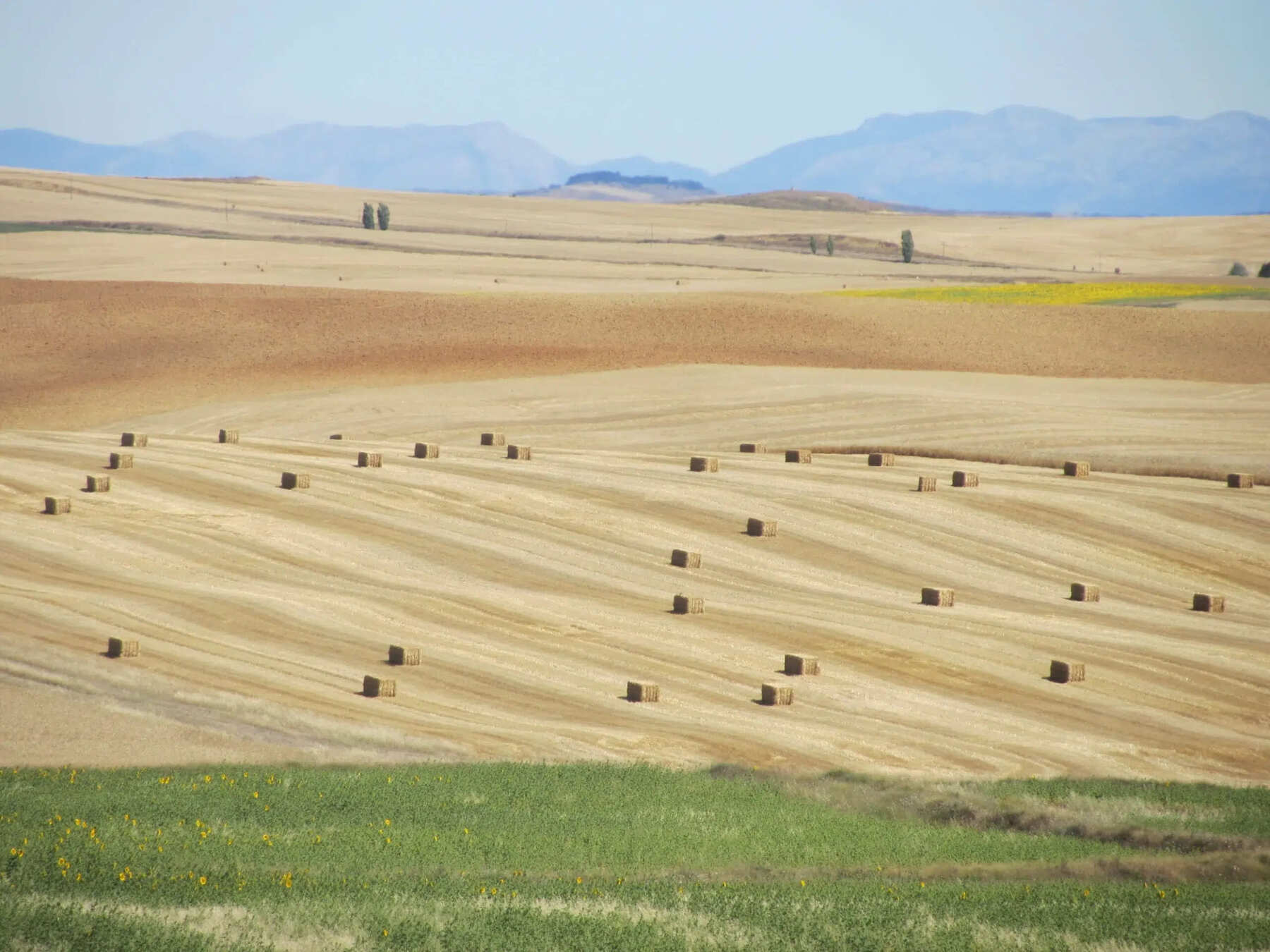 Ecoturismo paisajes secano