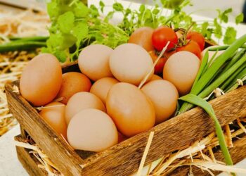 Baleares 'apuesta' por la producción ecológica dedicandole 50000 hectáreas de la superficie agraria útil