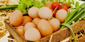 Baleares 'apuesta' por la producción ecológica dedicandole 50000 hectáreas de la superficie agraria útil