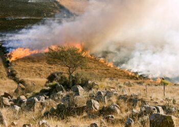 Castilla y León tiene identificados 701 municipios en ‘riesgo máximo’ de incendio forestal y sin el Plan que es ‘obligatorio hace 12 años’ 2 Castilla León identificados 701 municipios riesgo máximo incendio forestal sin Plan obligatorio 12 años