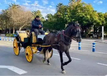 Málaga finiquita transporte turístico viajeros coches caballos crueldad menos