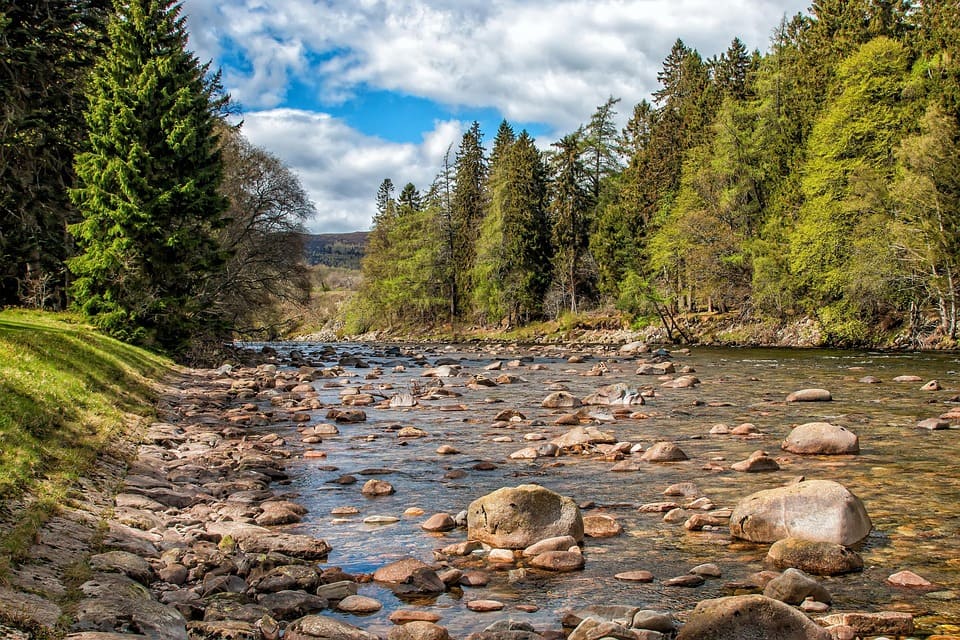 Congreso Ibérico Restauración Fluvial RestauraRíos 2026 futuro ríos España Portugal