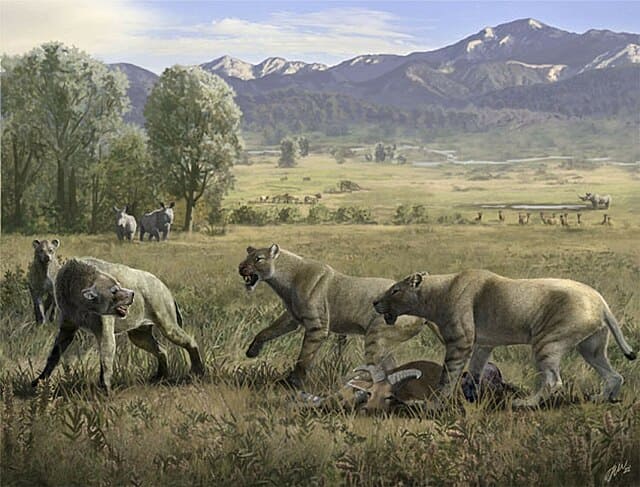 hiena prehistórica 10 millones años Cáucaso científicos Rusia China Azerbaiyán descubrimiento