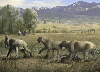 hiena prehistórica 10 millones años Cáucaso científicos Rusia China Azerbaiyán descubrimiento