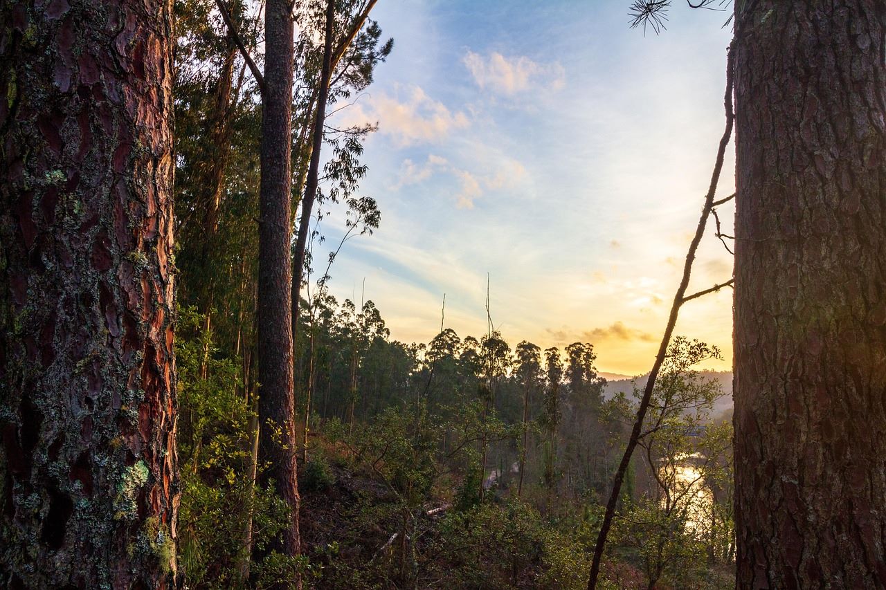 Día Internacional Reservas Biosfera 2025