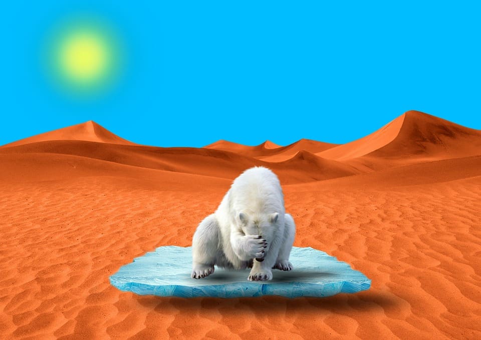 Discursos sin hechos objetivos nacionales NCD preocupaciones Presidencia brasileña COP30