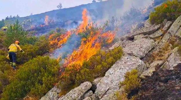 incendio forestal Pico Lobo controlado