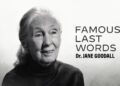 testamento vital Jane Godall Netflix