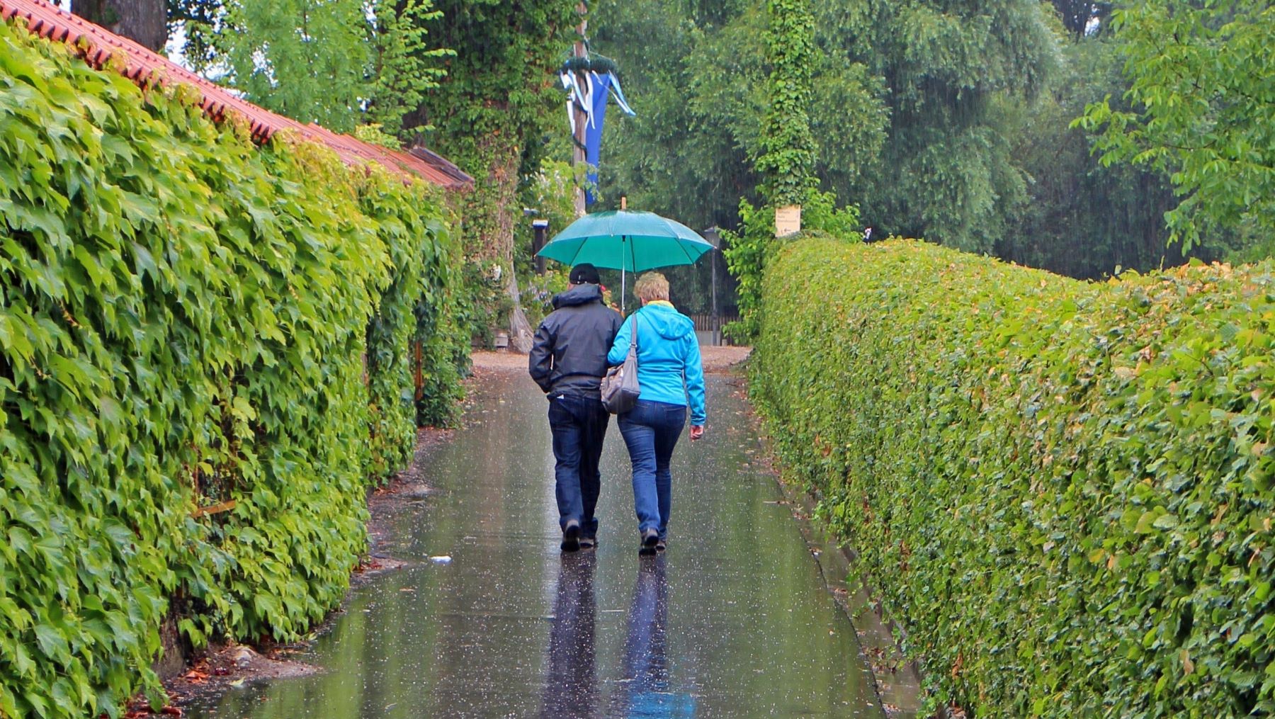 tiempo hará hoy 30 octubre prediccion CCAA España