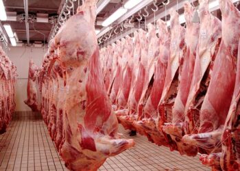 ranking empresas cárnicas lácteas contaminantes Planeta Grupo Vall Companys Grupo Jorge