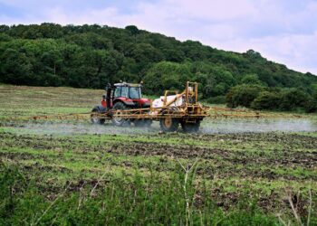 Europa configura una ‘gran alianza’ para desarrollar ‘pesticidas verdes’ contra ‘plagas’ en cultivos clave del continente 5 Europa pesticidas verdes plagas