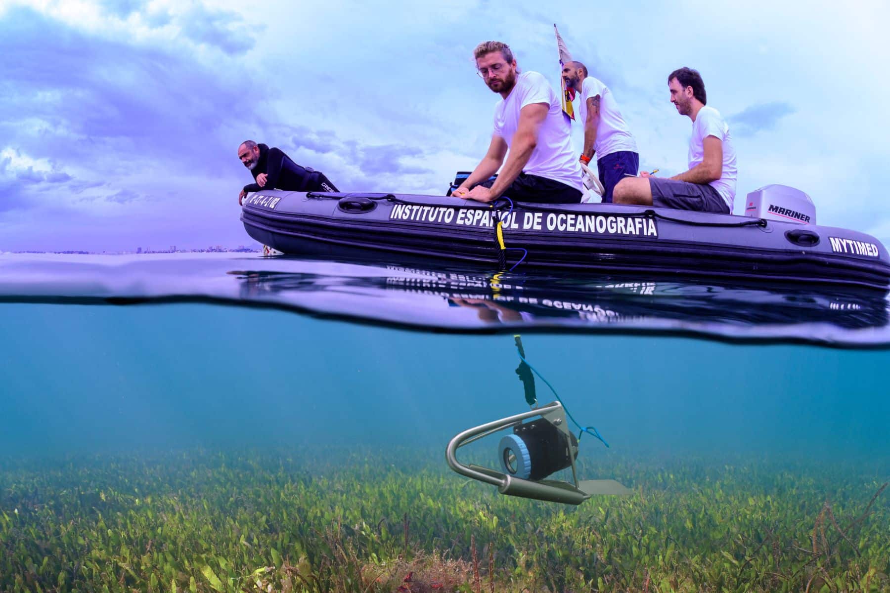 Falta oxígeno zona sur Mar Menor fauna comportamientos anómalos huye