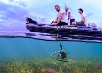 Falta de oxígeno en la zona sur del ‘Mar Menor’: la fauna ha comenzado a tener comportamientos anómalos y ‘huye’ 4 Falta oxígeno zona sur Mar Menor fauna comportamientos anómalos huye