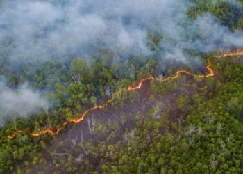 A pesar cifra escandalosa 13610 incendios forestales septiembre Amazonía brasileña nivel más bajo 25 años