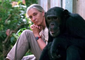 Jane Goodall etóloga, conservacionista activista Mensajera Paz ONU fallece
