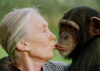 Jane Goodall muere 91 años