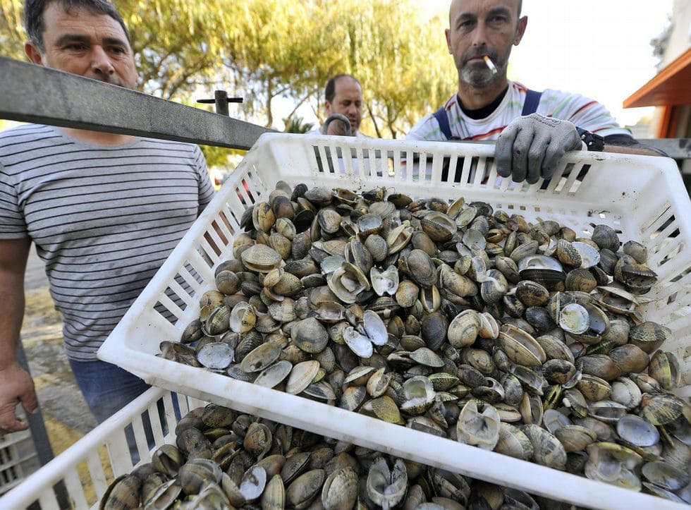 contaminación ría Ferrol mariscadores Juzgados Ayuntamiento Neda A Coruña
