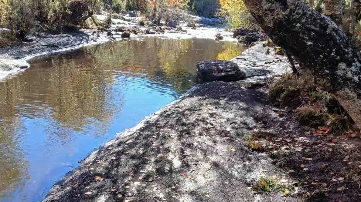 cenizas incendio forestal Pico Lobo contaminan Jarama