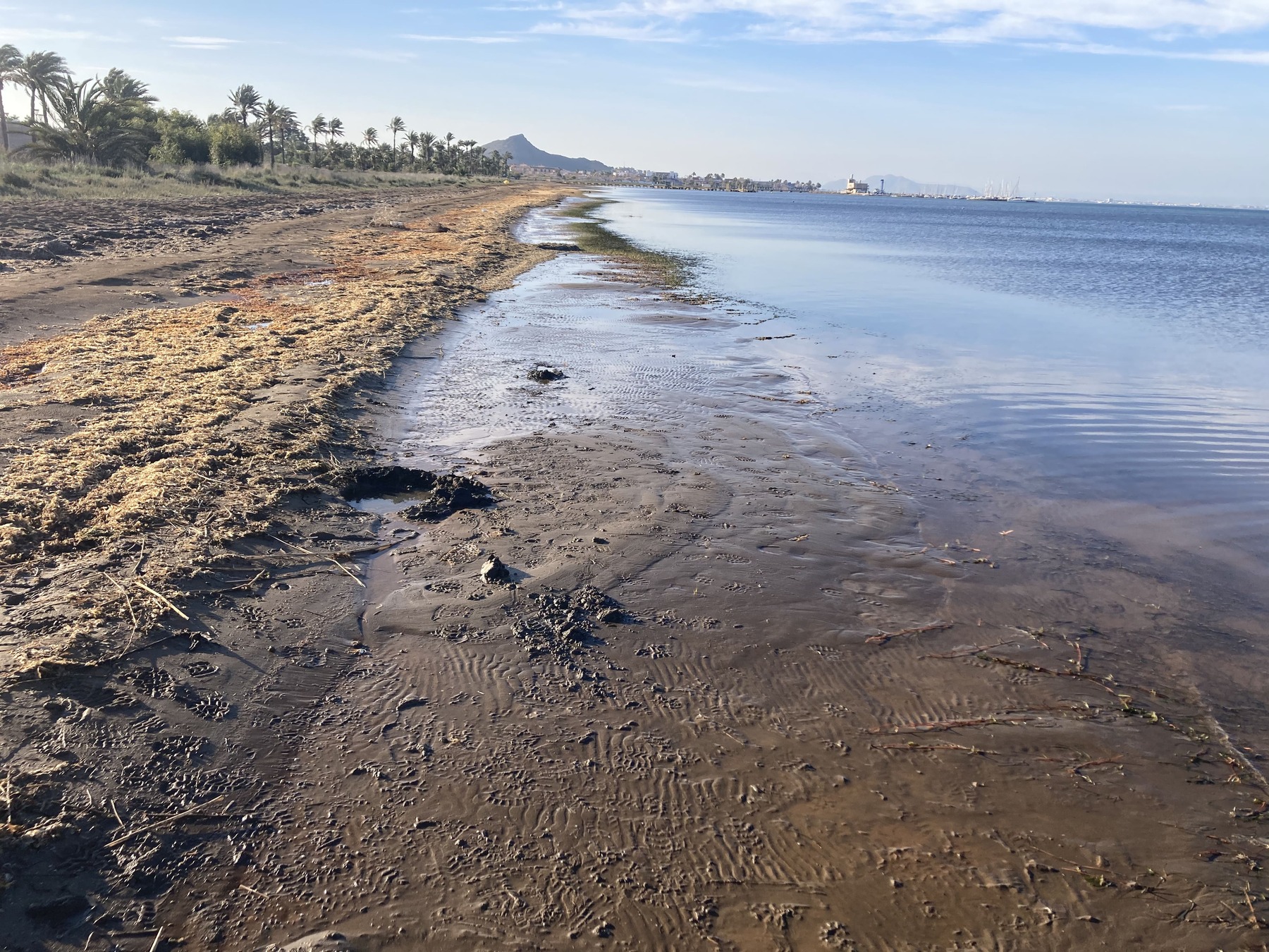 Cientos años minería convierten Mar Menor depósito metales tóxicos esto complica todo 
