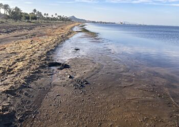 Cientos años minería convierten Mar Menor depósito metales tóxicos esto complica todo 