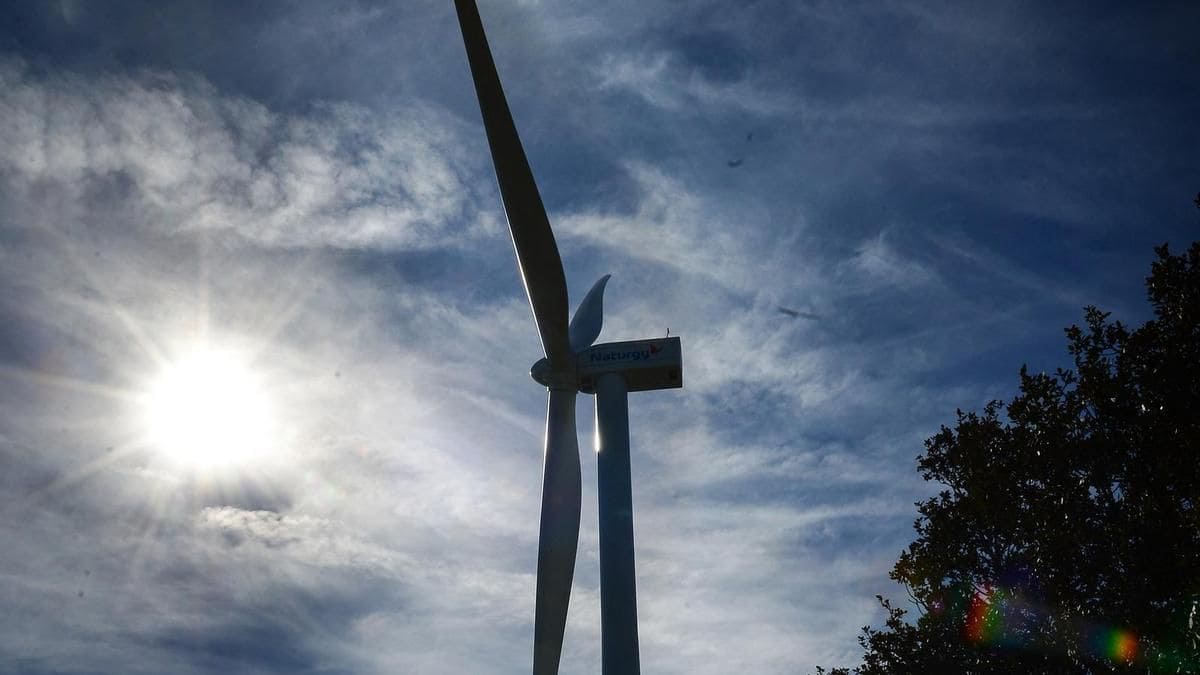 ONGs España mapeo Áreas Aceleración Renovables