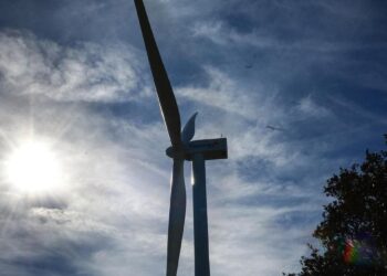 ONGs España mapeo Áreas Aceleración Renovables