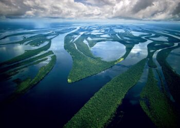 Observatorio Clima Brasil licenciasexplotaciones petrolíferas desembocadura Amazonas