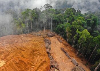 paso atrás UE no retrasará Reglamento Unión Europea Productos Libres Deforestación flexibilizará