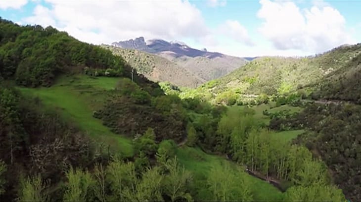 Programa AESENA asesoramientos gratuitoscompañías municipios Red Natura 2000 Andalucía