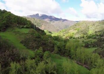 Programa AESENA asesoramientos gratuitoscompañías municipios Red Natura 2000 Andalucía
