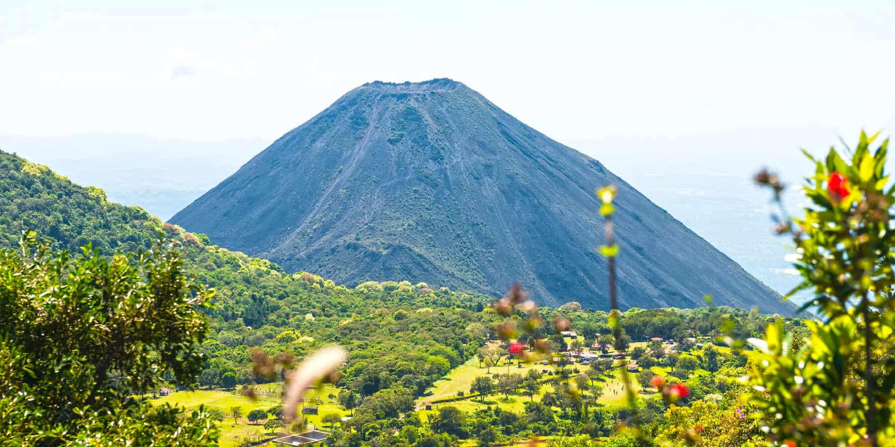 Salvador ONG medioambiental cesa actividades persecución criminalización