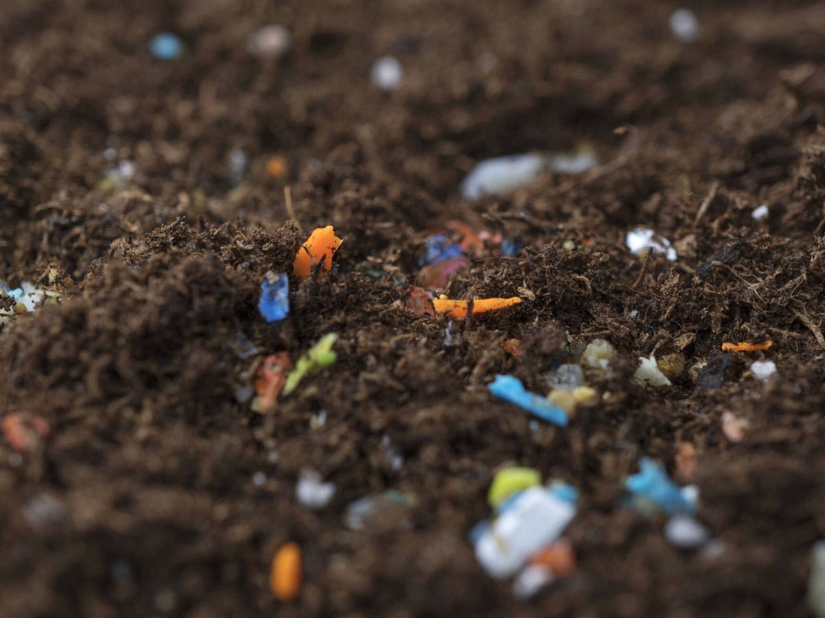 Restaurar suelos contaminados plásticos agricultura compost microorganismos digieren residuos sintéticos
