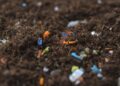 Restaurar suelos contaminados plásticos agricultura compost microorganismos digieren residuos sintéticos