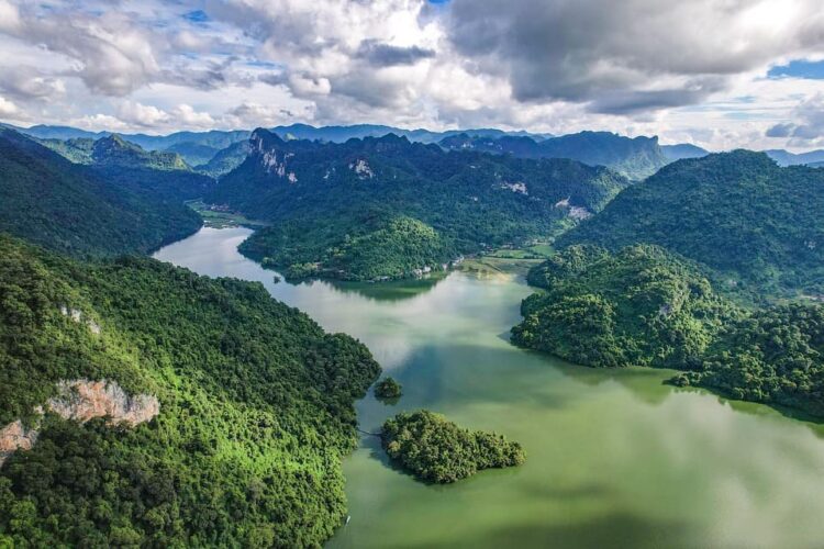 triplicamos aportaciones económicas proteger bosques tropicales perdidos