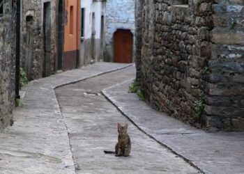 Transición Ecológica ayudas públicas proyectos combatan despoblación transformen territorio