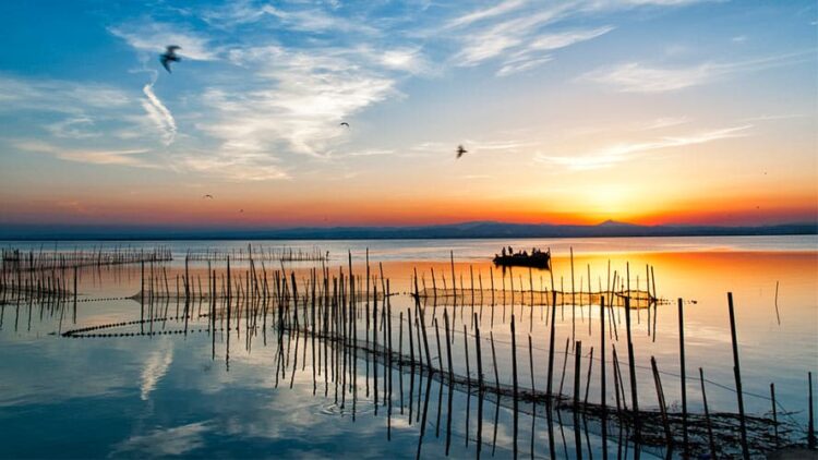 Transición Ecológica Plan Actuaciones Recuperación Mejora Resiliencia Albufera Valencia DANA