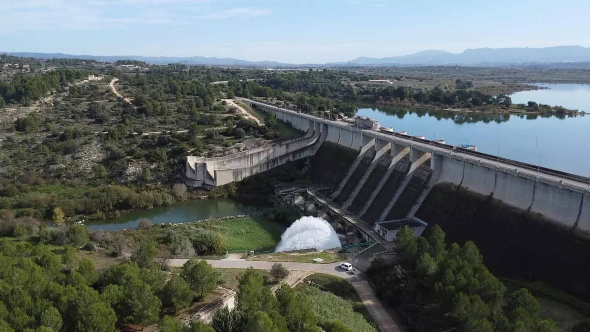 CHJ inicia retirada selectiva peces mayoría especies invasoras embalse Bellús mejorar calidad agua