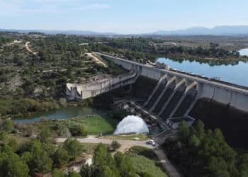 CHJ inicia retirada selectiva peces mayoría especies invasoras embalse Bellús mejorar calidad agua