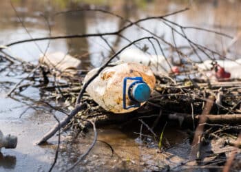 No hacer ‘nada’ ante el ‘cambio climático’ provoca millones de muertes cada año 2 No hacer nada ante cambio climático provoca millones muertes año