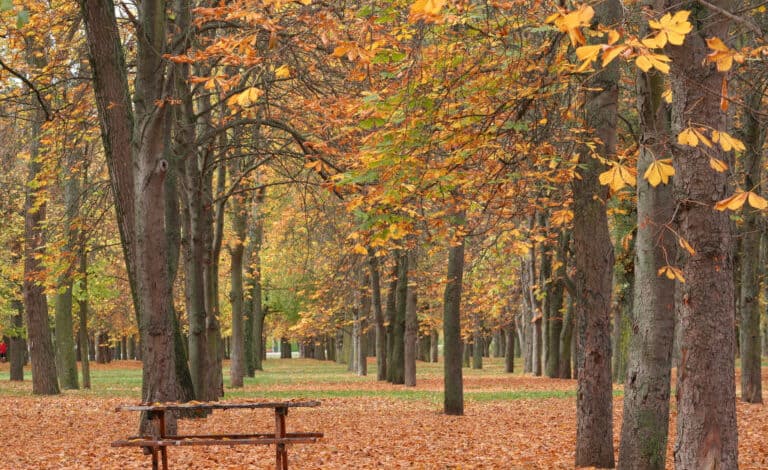 Parral Burgos se convierte refugio biodiversidad proyecto recuperación paisajística