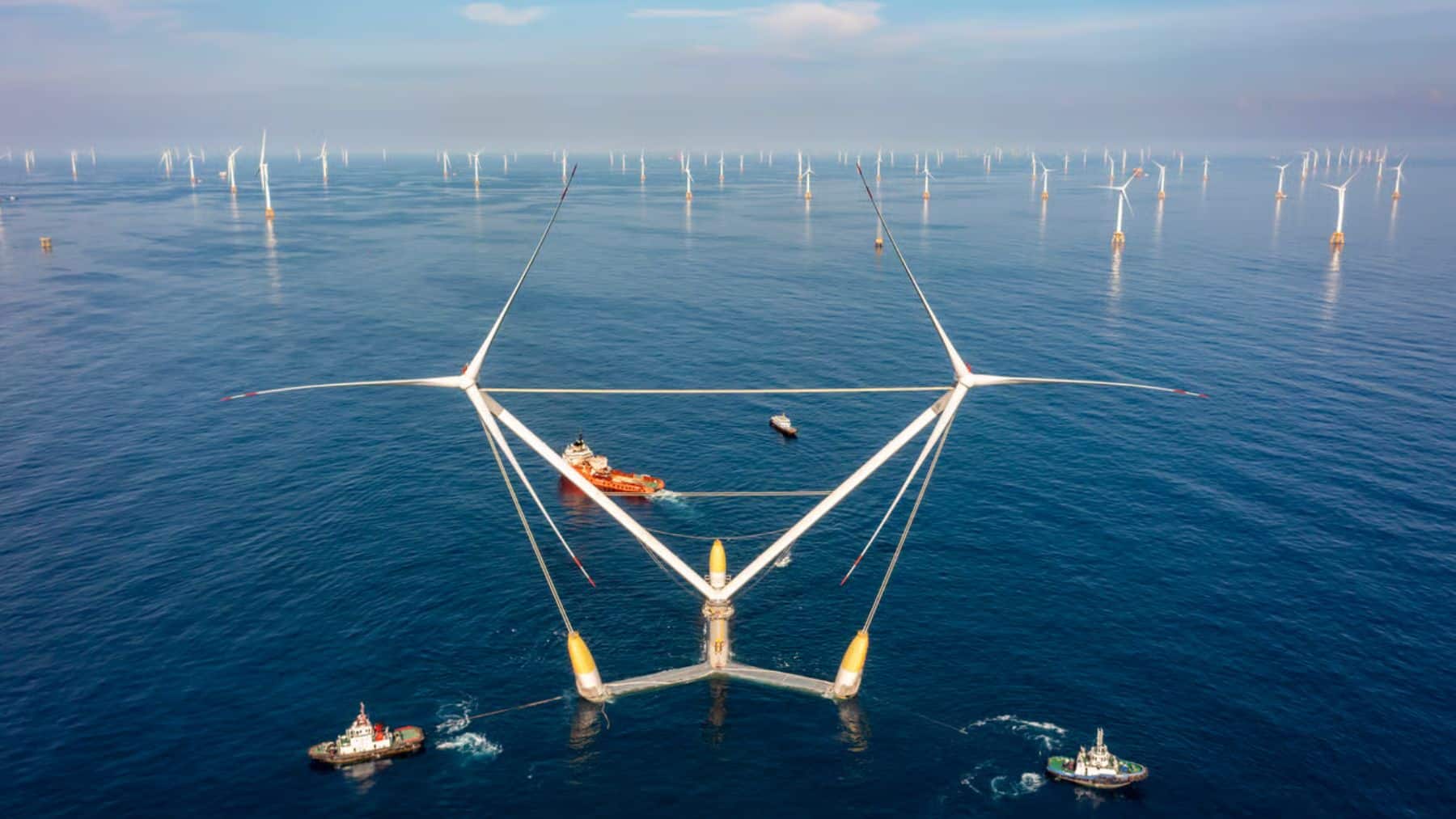 experimento asiatico