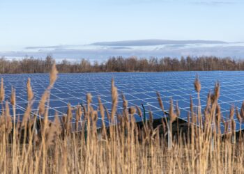 ministro Agricultura ve absurdo usar tierra fértil instalaciones fotovoltaicas