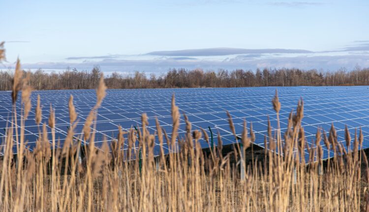 ministro Agricultura ve absurdo usar tierra fértil instalaciones fotovoltaicas