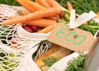 productos alimenticios ingredientes alimentarios ecológicos NO tratados radiaciones ionizantes