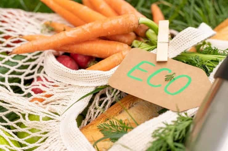 productos alimenticios ingredientes alimentarios ecológicos NO tratados radiaciones ionizantes